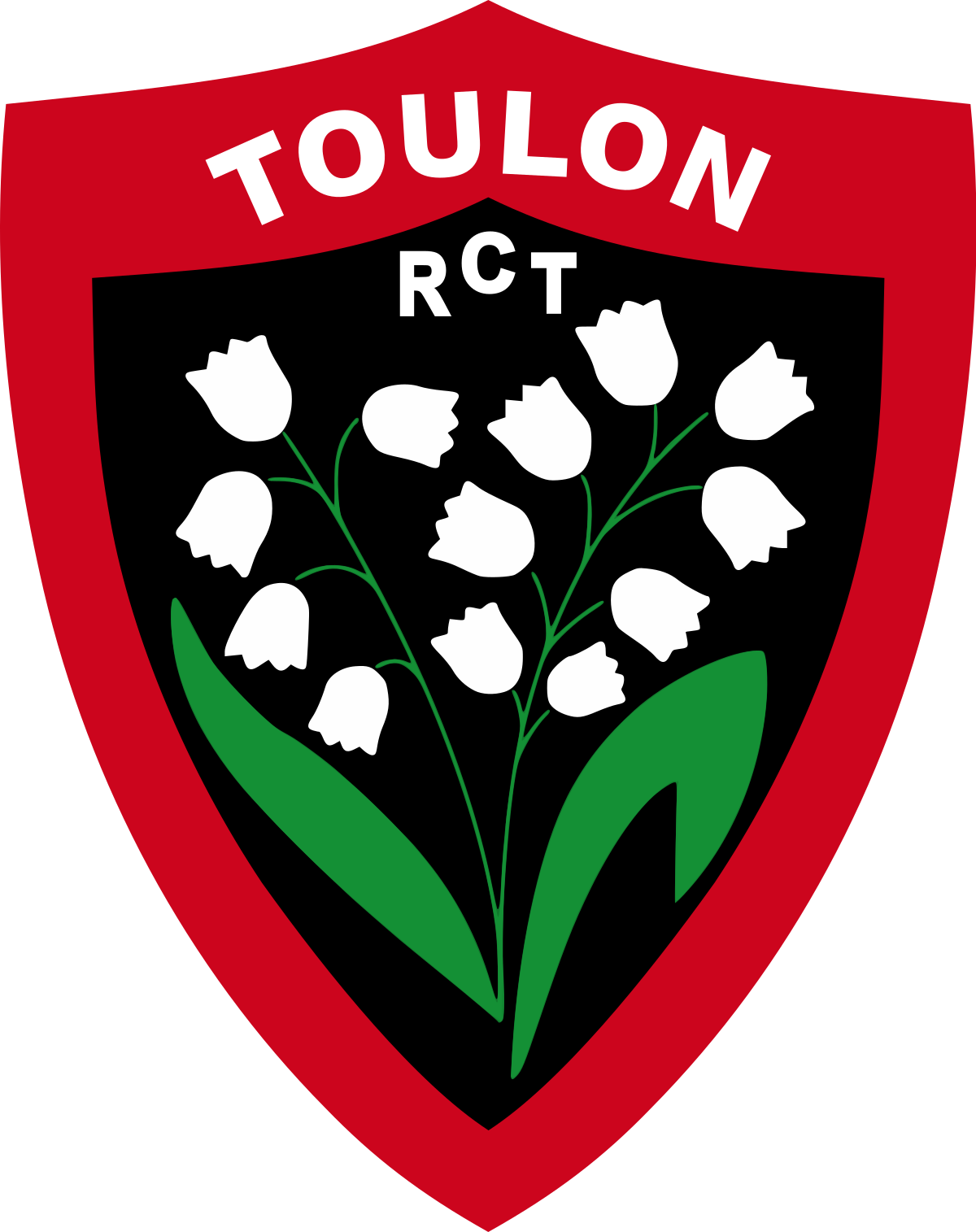 logo RC Toulon